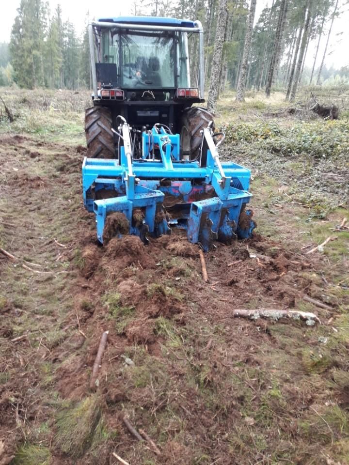 Outil d'Aide à la Régénération Naturelle