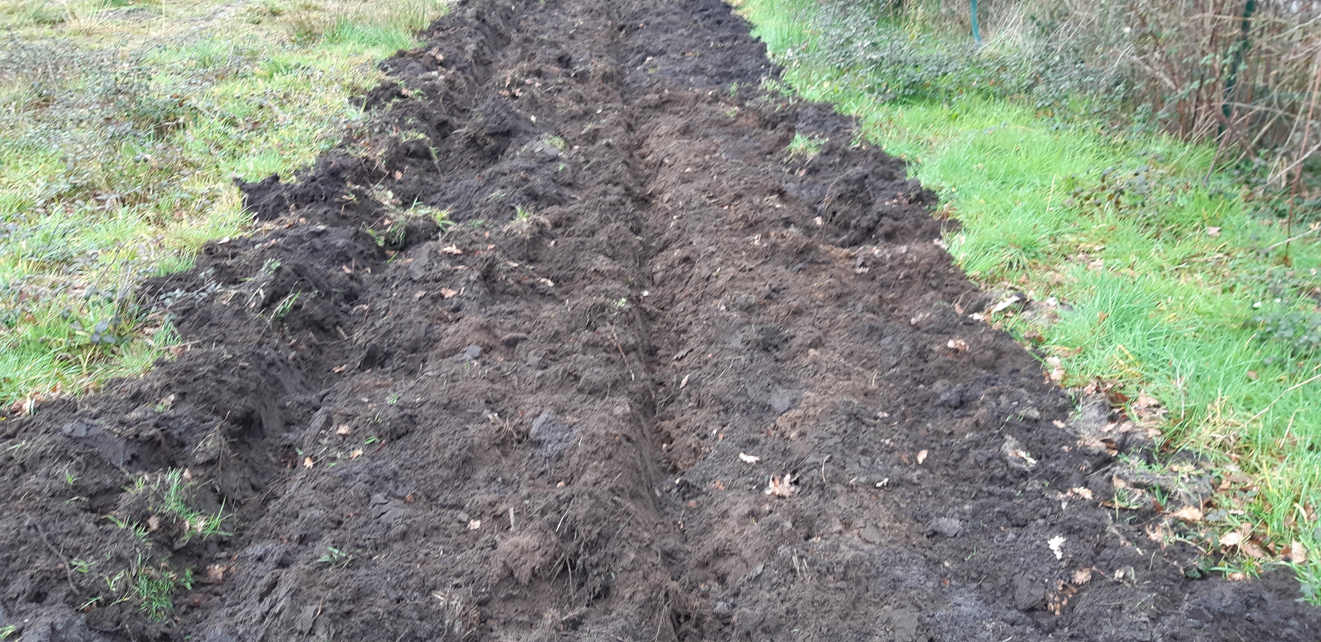 Cover-crop forestier Ménard-Darriet - Gamme "Non-Stop"