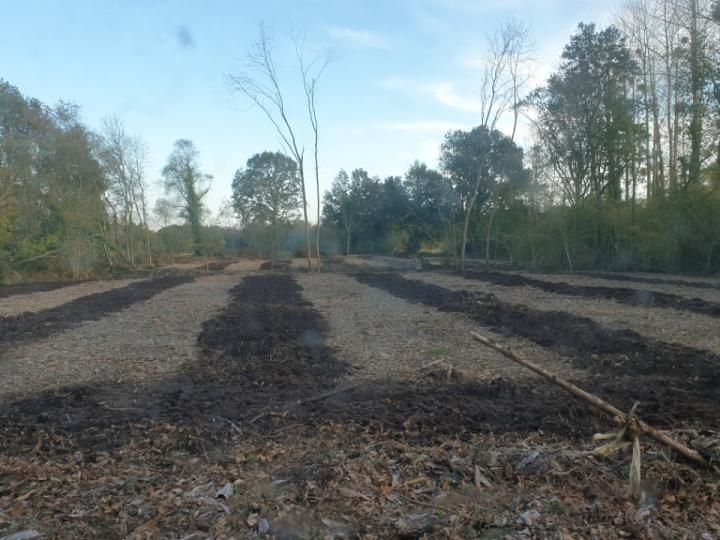 Cover-crop forestier Ménard-Darriet - Gamme "Non-Stop"