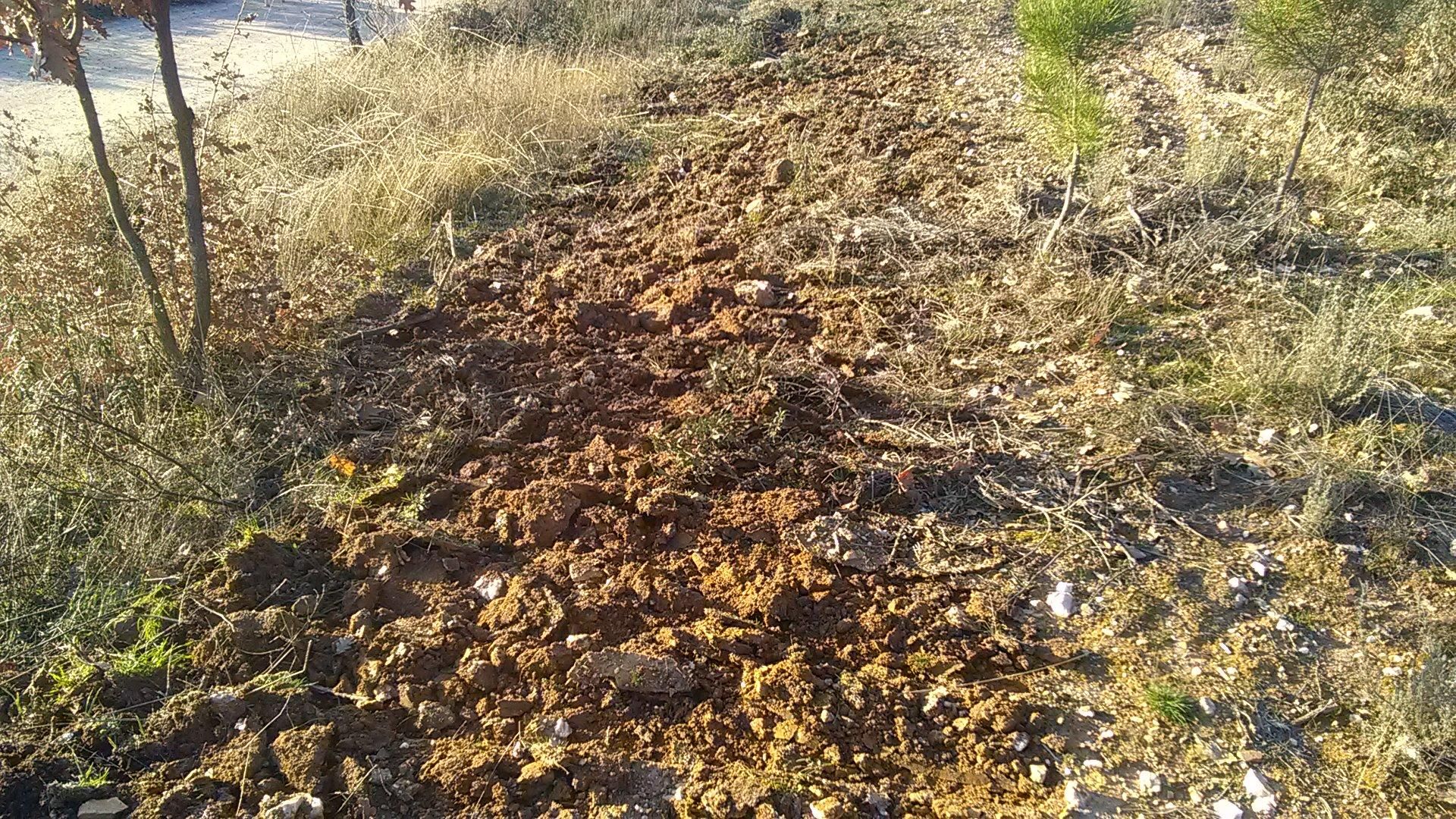 Rouleau débroussailleur porté Ménard-Darriet