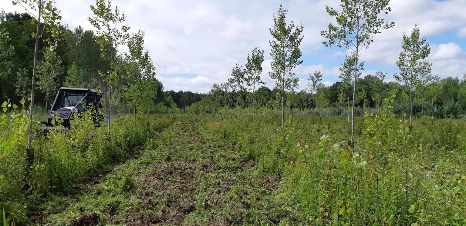 Cover-crop forestier Ménard-Darriet - Gamme "Non-Stop"